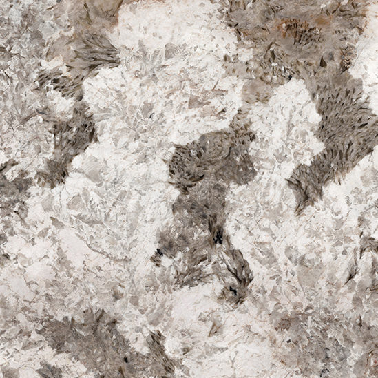 CERAMICA-STUDIOCERAMICA-APAVISA-PATAGONIA GREY POLISHED 641 CERAMICA-STUDIOCERAMICA-APAVISA-PATAGONIA-GREY-POLISHED-641.jpg